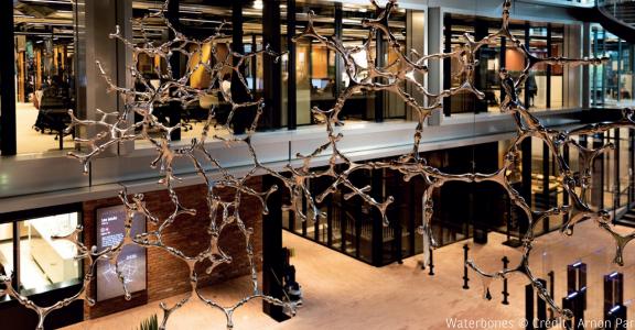 Waterbones © Crédit : Arnon Paris