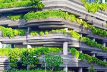 Green city