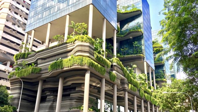 biodiversite